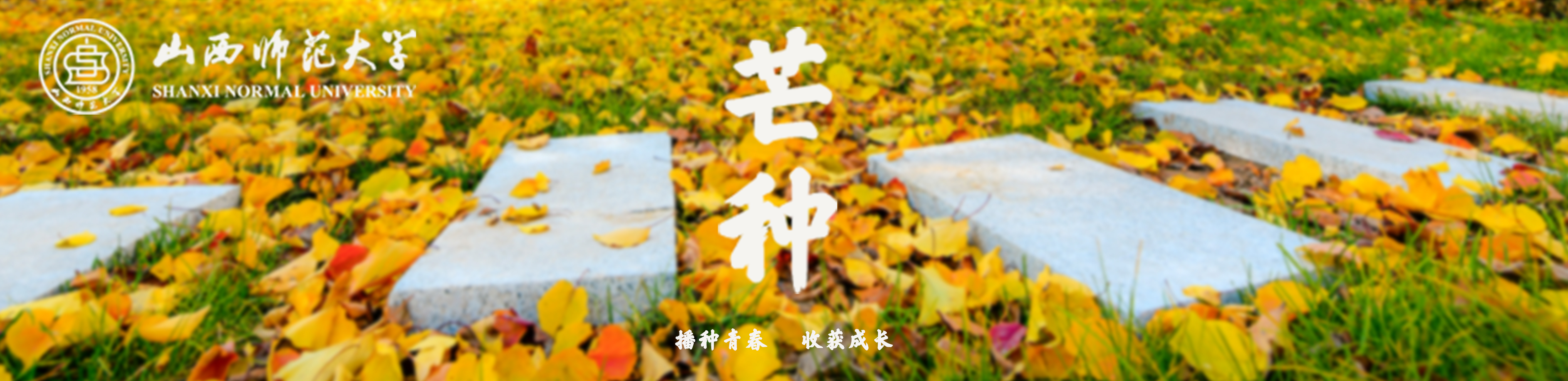 2023.06.06   设计：郭彤昕